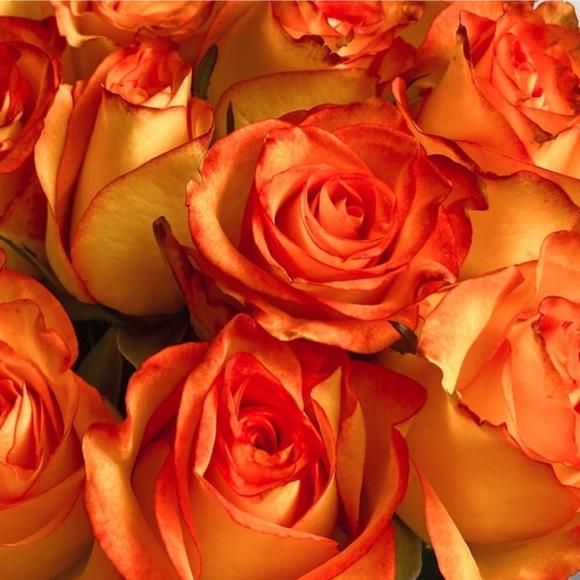 Meet your Posher, Mishelle - Picture 13 of 14